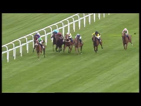 Hamburger Flieger Preis 2014 - Gruppe 3 - Amarillo