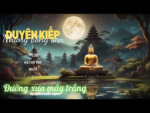 [P15] Những bông sen duyên kiếp | Ôi Hạnh Phúc | Đường Xưa Mây Trắng | Thiền sư Thích Nhất Hạnh