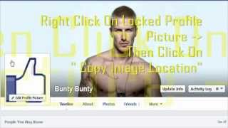 How to view Locked Fb Profile Picture In Large Size