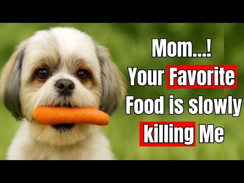 15 Super Veggies That Make Your Dog Healthier ( And 3 That Secretly Kill Them )