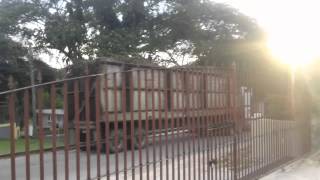 W900 Kenworth Sugar Cane Truck Jake Braking JAMAICA