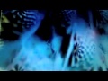INTRONAUT: Past Tense