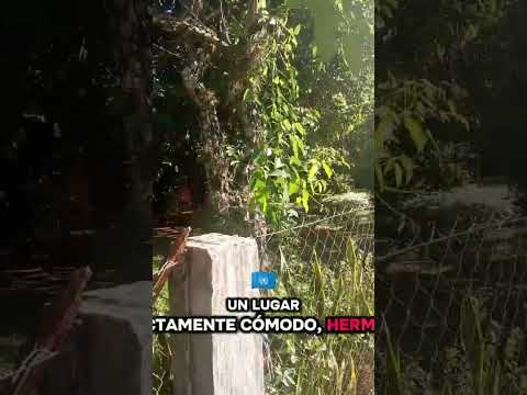 Hospedaje la Esquina en Loreto Corrientes