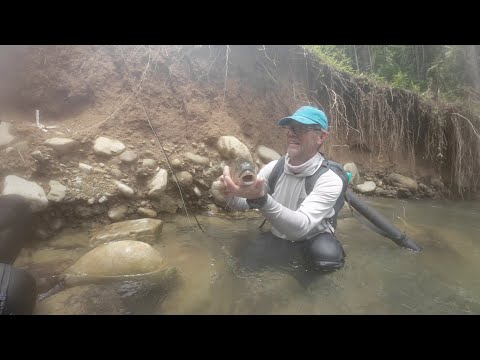 Fantastic scenery fly fishing in the remote Borneo river