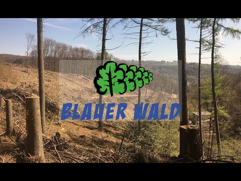 „Aktion „Blauer Wald“ – Drohnenflug über Solinger Waldgebiet“