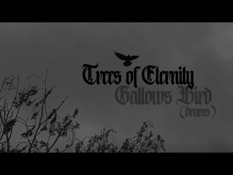 Trees of Eternity - Gallows Bird (drum cover)