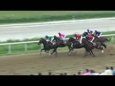 86. Srpski Trial Stakes First Thought - WINNER