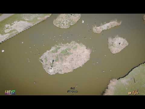 DRONE OVER CANVEY ISLAND-Canvey Lake 2