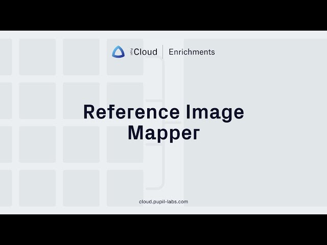 Pupil Labs product / service