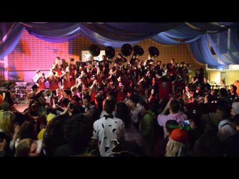 Gupfe-Fläxer  - Die Ärzte Medley  [ Niederhof 2017 ]