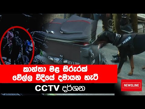 Unidentified body found in suitcase