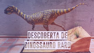 Miniatura do vídeo