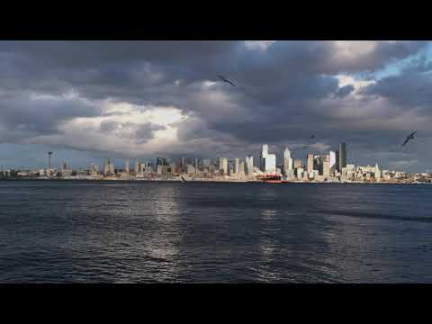 Seattle- The Calm Before the Storm