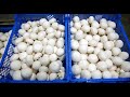 https://www.youtube.com/watch?v=ygrxusDKEEc