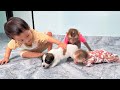 Heartwarming moments with Monkey Kaka, Diem, and their adorable puppy