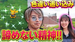 【ポケモンGO】最後の追い込み！諦めなければ色違いは出る！！いや出す！！