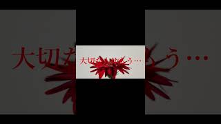 【#Blurry Eyes】【#ラルク】【#shorts】【#永久機関】Blurry Eyes/L'Arc〜en〜Ciel guitarcovered by フクレモ.