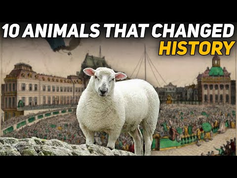 10 Animals That Changed History
