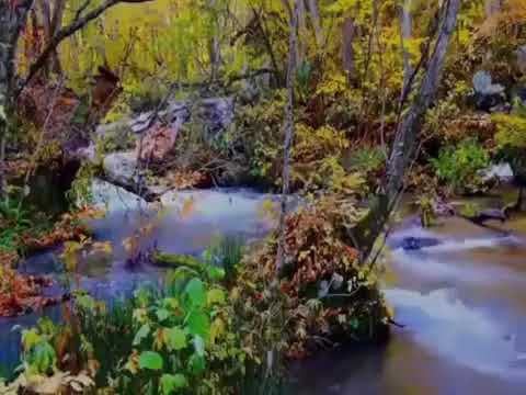 Ještě mi scházíš  -   Jarek Nohavica