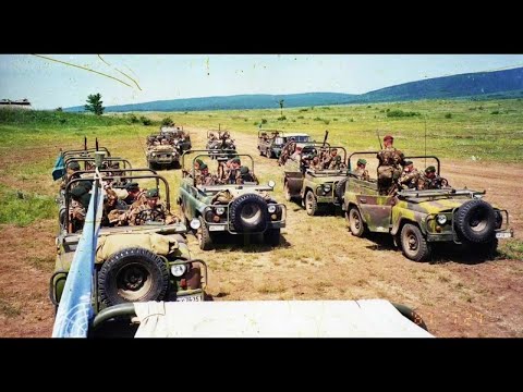 A 88 GYORSREAGÁLÁSÚ ZÁSZLÓALJ Története és felépítése (HU)