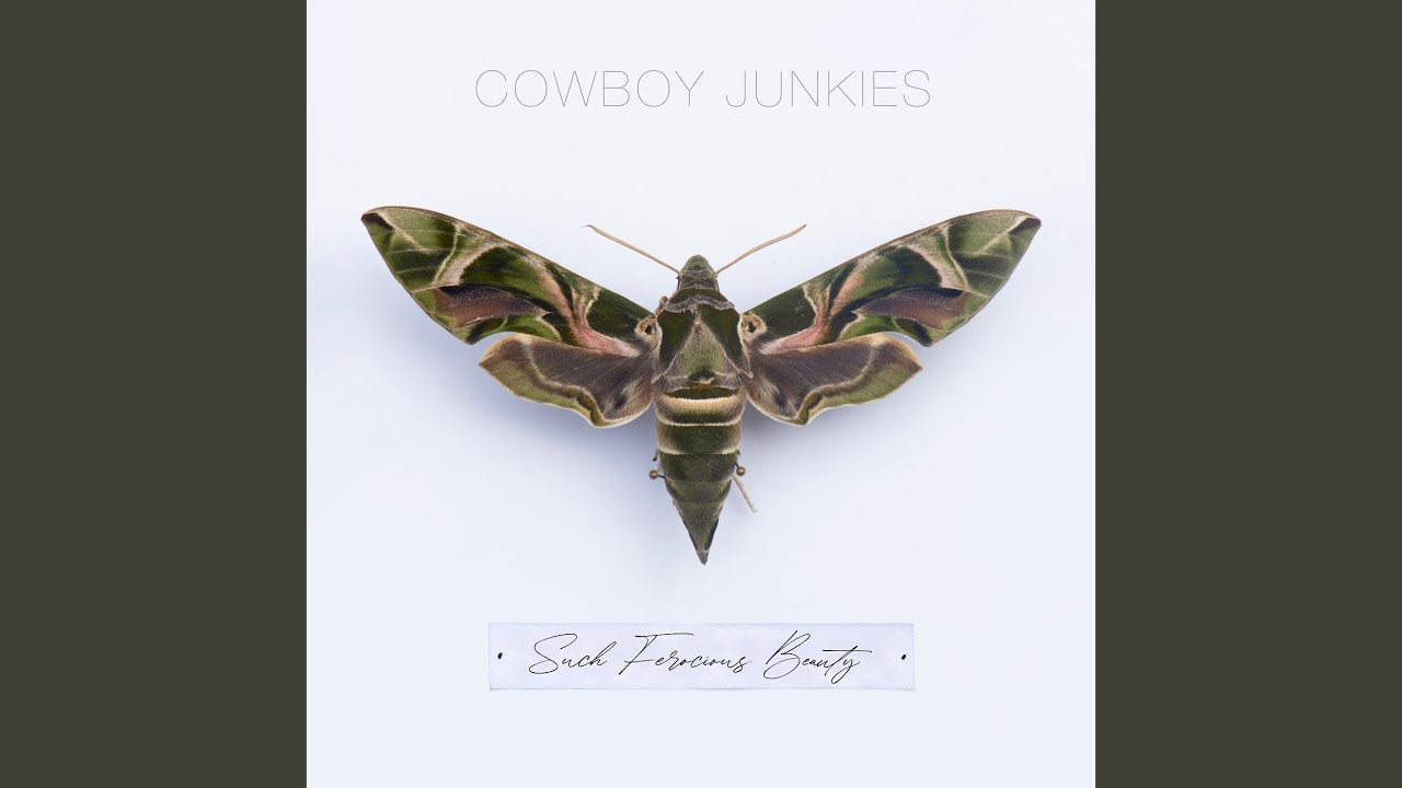 Cowboy Junkies - Shadows 2