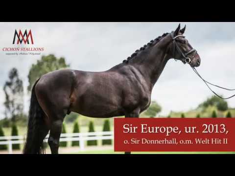 Sir Europe, ur  2013, o  Sir Donnerhall, o m  Welt Hit II got