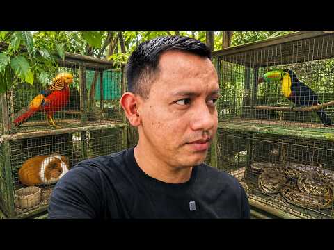 No Puedo Creer Que Esto Exista en Guatemala