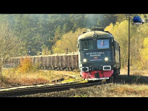Fluieroasa 60-1564-3 Whistle Loko & Marfar MMV Freight Train in Gara Bratca Station 18 November 2020