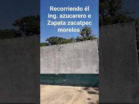 ingenio azucarero zacatepec morelos con pedro vargas the Black panther