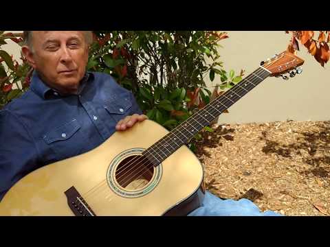 Zager Easy Play ZAD20 Acoustic Guitar Walkaround