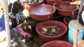 preview picture of video 'Oyster Shucking at Gujora Fish Market'