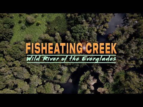 Fisheating Creek: Wild River of the Everglades