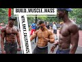 How To Build Muscle Mass | Calisthenics For Massive Body