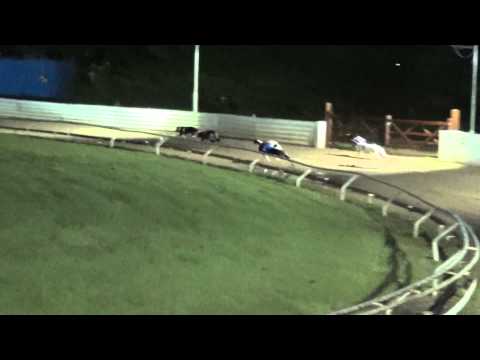 2014 Welsh Greyhound Derby Final