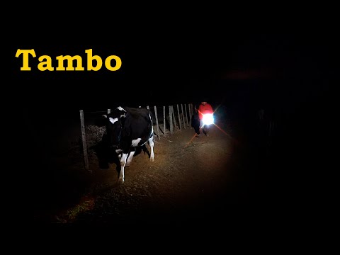 209 El Tambito (San Luis) - Ranches and Traditions