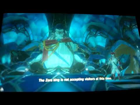 secret Sidon cutscene.