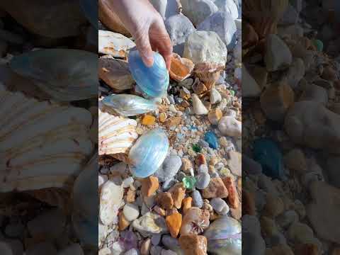 Sea Agate and Sea Crystal: Finding Hidden Treasures on the Shore and rare pearl