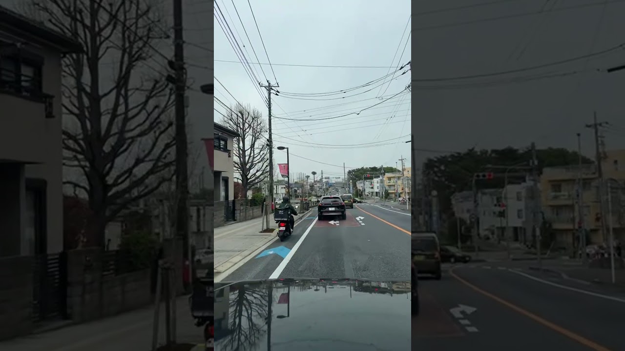 ライブ ハイライト