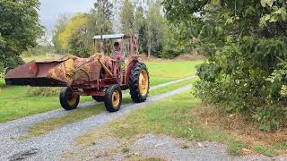David Brown DAVID BROWN 950 IMPLEMAT minitraktor | Billede 4 - Agroline