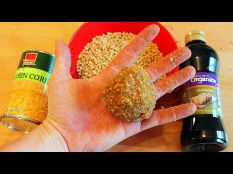 Carp Bait Recipe - How to catch carp with chicken feed.