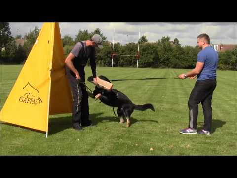 IPO Protection training with Michal Wisniewski