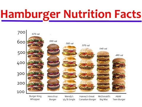 Hamburger nutrition facts