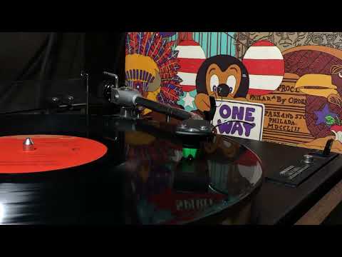 The Beach Boys - Please Let Me Wonder (Vinyl)