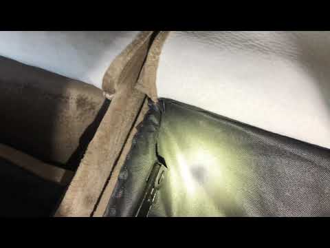 Weekend Guest Brings Bed Bugs in Freehold, NJ