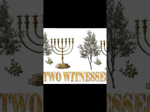 Two Witnesses #prophecy #elijah #enoch #twowitnesses #revaltion