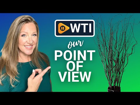FeiLix Lifelike Curly Willow Branches - WTI product video review