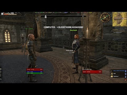 ESO Series // Glenumbra Main Questline // Daggerfall - Bloodthorn Assassins