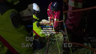 N.S. fire department saves beloved dog