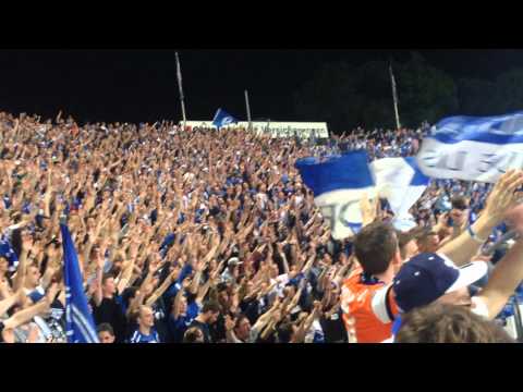 11.05.2015 Karlsruher SC - SV Darmstadt 98 0:1 Darmstäder Fans feiern nach Abpfiff