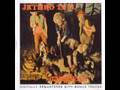 Jethro Tull - Beggar's Farm 